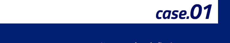 case.01